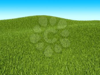 Summer landscape: green grass meadow and blue sky