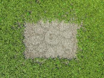 Environment: green grass frame and gravel patch in the middle