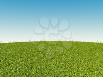 Green grass on hill and blue sky. Spring and summer time