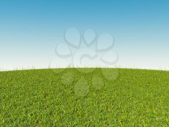 Green grass on hill and blue sky. Spring and summer time