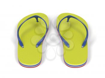 Pair of flip-flops on white background