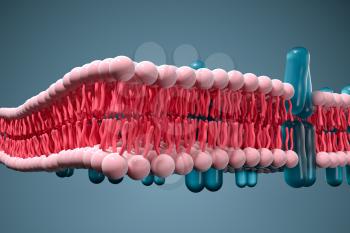 Cell membrane and biology, biological concept, 3d rendering. Computer digital drawing.