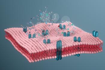 Cell membrane and biology, biological concept, 3d rendering. Computer digital drawing.