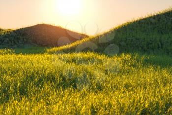 Grass field and mountains with bright background,3d rendering. Computer digital drawing.