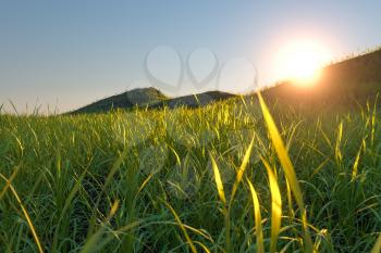 Grass field and mountains with bright background,3d rendering. Computer digital drawing.