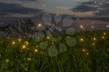 Flying glowworm over the grass field, 3d rendering. Computer digital drawing.