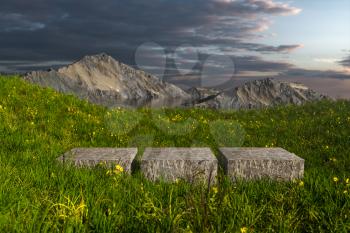 Empty platform in the grass field, 3d rendering. Computer digital drawing.