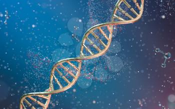 DNA genomes structure with division molecule, 3d rendering. Computer digital drawing.