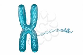 Chromosome with white background, 3d rendering. Computer digital drawing.