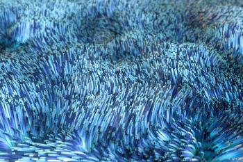 Growing wavy particles, abstract color background, 3d rendering. Computer digital drawing.