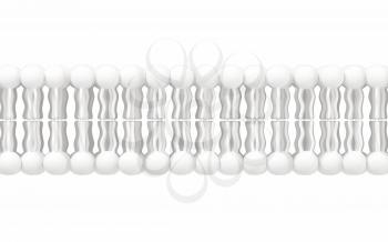 Cell membrane with white background, 3d rendering. Computer digital drawing.