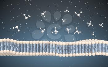 Cell Membrane and Molecules, 3d rendering. Computer digital drawing.