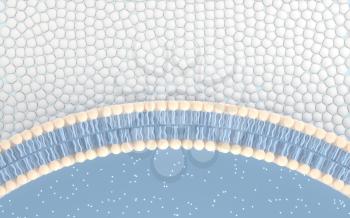 Cell membrane with blue background, 3d rendering. Computer digital drawing.