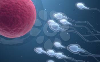 The union of sperm and an egg cell, 3d rendering. Computer digital drawing.