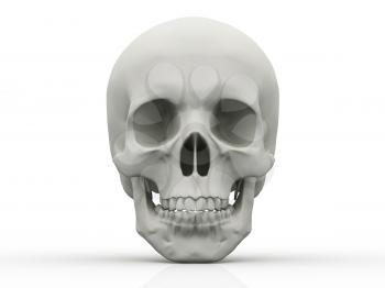 Royalty Free Clipart Image of a Skull