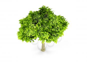 Royalty Free Clipart Image of a Tree