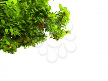 Royalty Free Clipart Image of a Tree