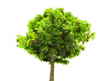 Royalty Free Clipart Image of a Tree