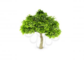 Royalty Free Clipart Image of a Tree