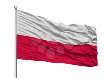 Belgrade City Flag On Flagpole, Country Serbia, Isolated On White Background