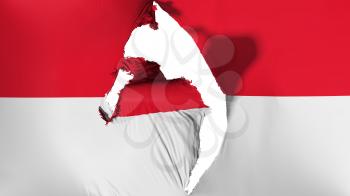 Damaged Monaco flag, white background, 3d rendering