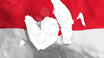 Ragged Monaco flag, white background, 3d rendering