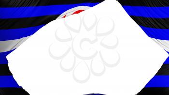 Divided Tanos pride flag, white background, 3d rendering