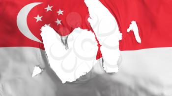 Ragged Singapore flag, white background, 3d rendering