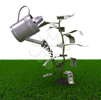 Royalty Free Clipart Image of a Money Plant