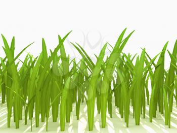 Royalty Free Clipart Image of Green Grass