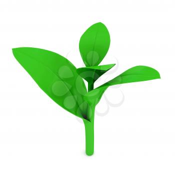 Royalty Free Clipart Image of a Plant