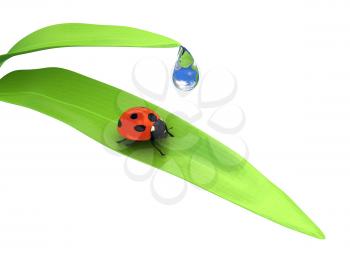 Royalty Free Clipart Image of a Ladybug on a Plant