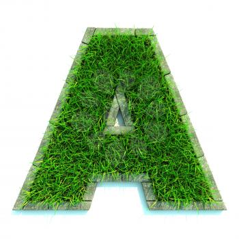 Beautiful Spring Letters and Numbers Made of Grass and Surrounded with  Border