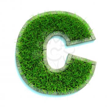 Beautiful Spring Letters and Numbers Made of Grass and Surrounded with  Border