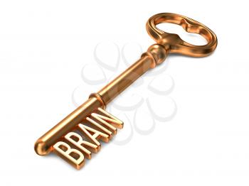 Brain - Golden Key on White Background. 3D Render. Business Concept.