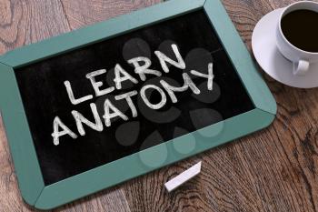 Learn Anatomy Handwritten by white Chalk on a Blackboard. Composition with Small Blue Chalkboard and Cup of Coffee. Top View. 3D Render.