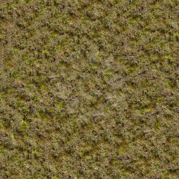 Grass with Green Moss. Seamless Tileable Texture