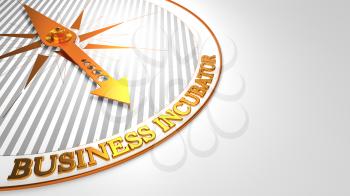 Business Incubator Concept - Golden Compass Needle on a White Field Pointing.