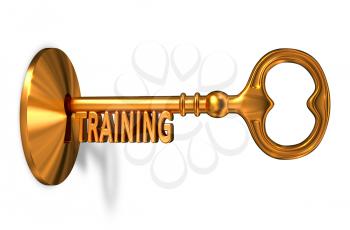 Training - Golden Key is Inserted into the Keyhole Isolated on White Background