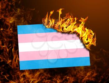 Flag burning - concept of war or crisis - Trans Pride