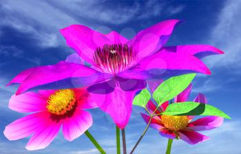 Beautiful Cosmos Flower against the sky