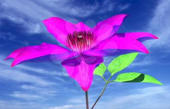 Beautiful Cosmos Flower against the sky