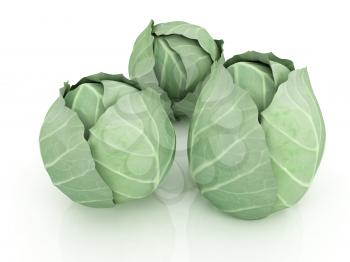 Green cabbage on a white background