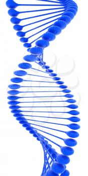 DNA structure model on a white background