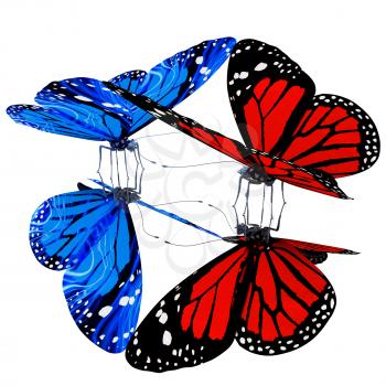 Butterflies on a white background