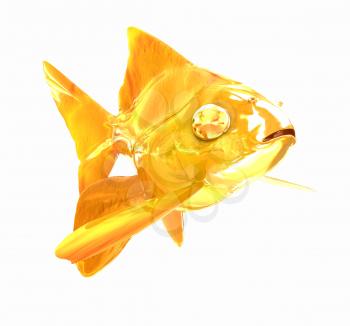 Gold fish. Isolation on a white background