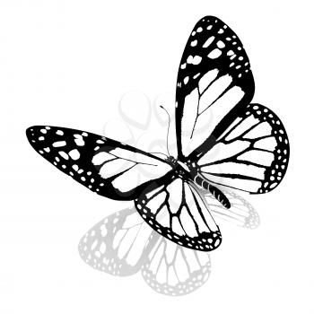 Black and white beautiful butterfly. High quality rendering