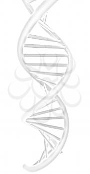 DNA structure model on a white background