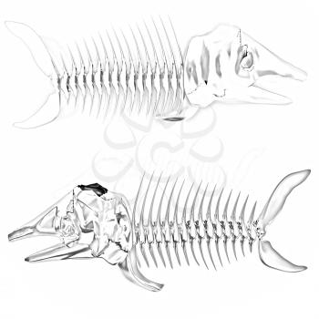 3d metall illustration of fish skeleton on a white background