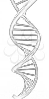 DNA structure model on white 